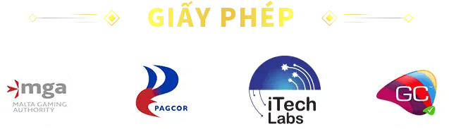 Giấy Phép 555Win