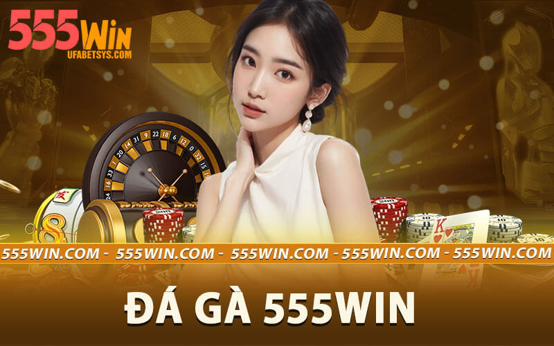Đá gà 555win